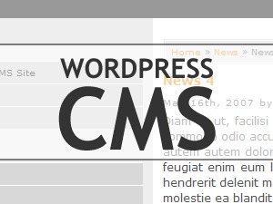 WordPress CMS WordPress theme by sdesign1