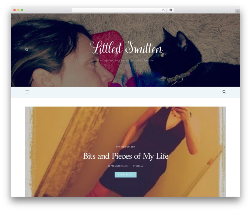 Basic mailchimp WordPress plugin - littlestsmitten.com