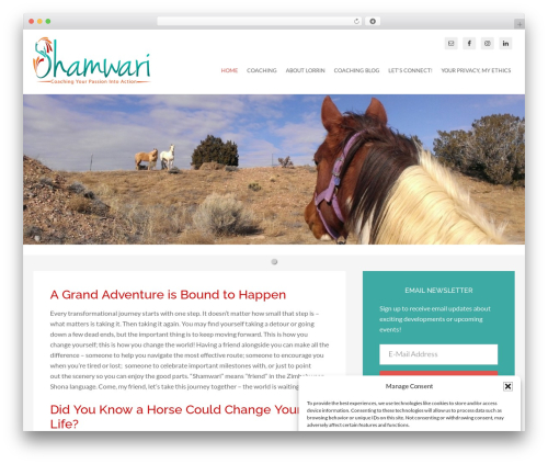 My Agile Pixel – The GDPR Analytics and Tracking Pixel Solution (myagilepixel) free WordPress plugin - lorrinmaughan.com