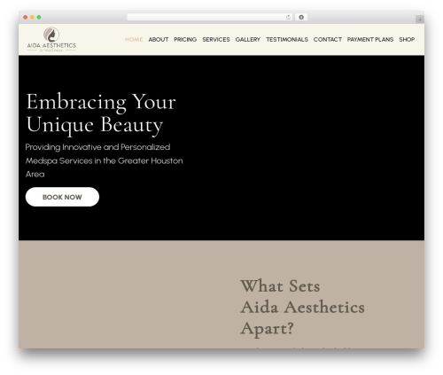 Ghl wizard WordPress plugin - aidaaesthetics.com