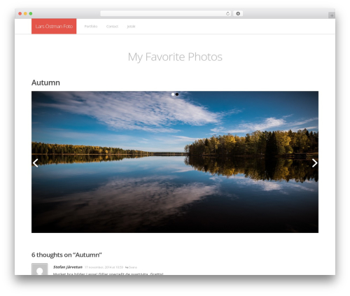 Develop WP theme - larsostman.com