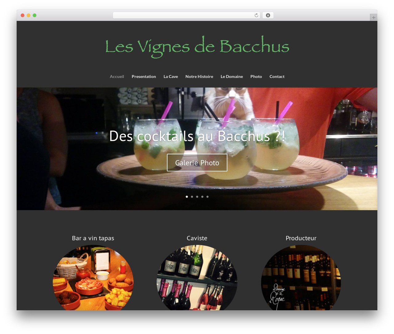 Divi WordPress theme - lesvignesdebacchus.com Divi WordPress theme - lesvignesdebacchus.com
