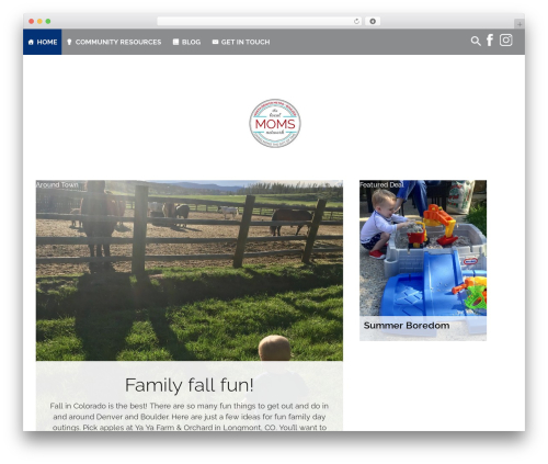 Divi WordPress theme - northdenverandbouldermoms.com