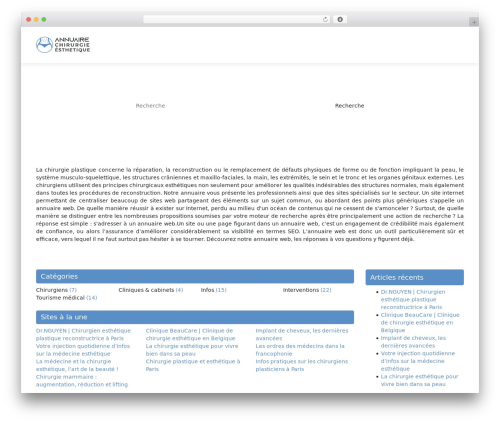 generic-site WordPress website theme - annuaire-chirurgie-esthetique.com