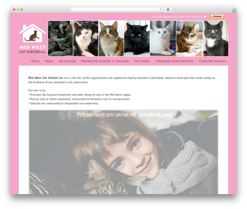 Srizon facebook album pro WordPress plugin - midwestcatshelter.com