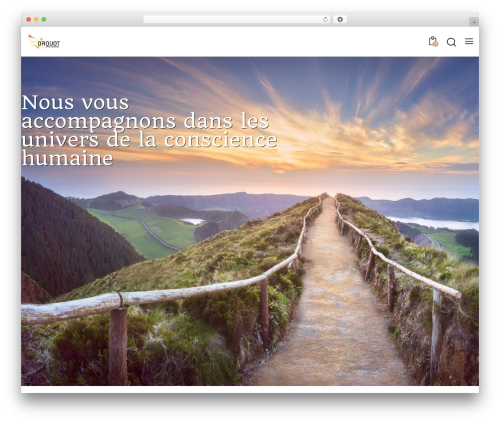 Prophet WordPress theme - drouotp.com