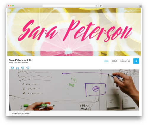 Shuttle WordPress theme - thesarapeterson.com Shuttle WordPress theme - thesarapeterson.com