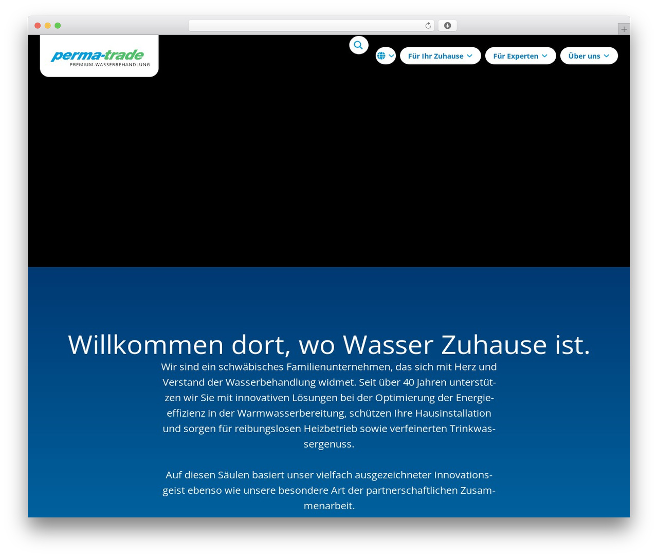 Theme WordPress Hello Elementor - perma-trade.de