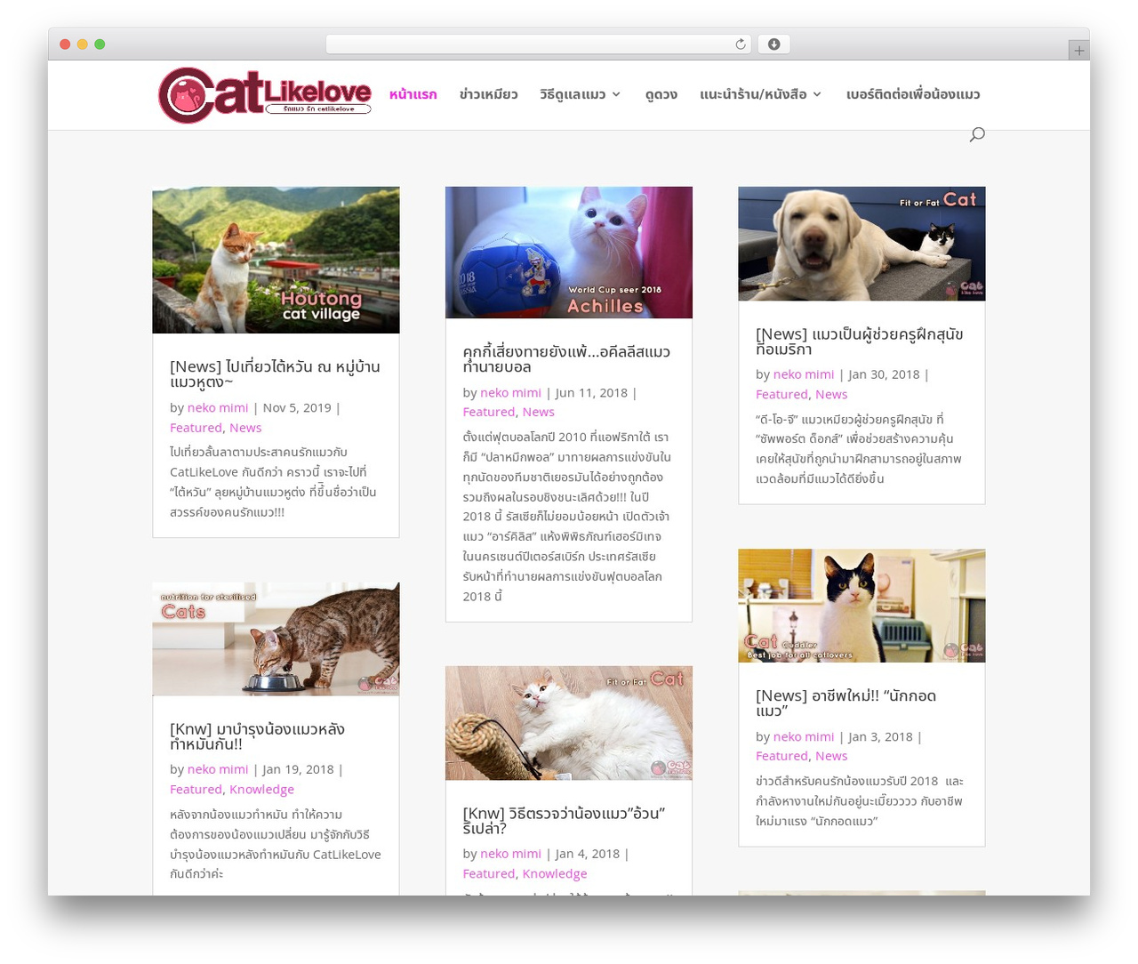 WordPress theme Divi - catlikelove.com WordPress theme Divi - catlikelove.com