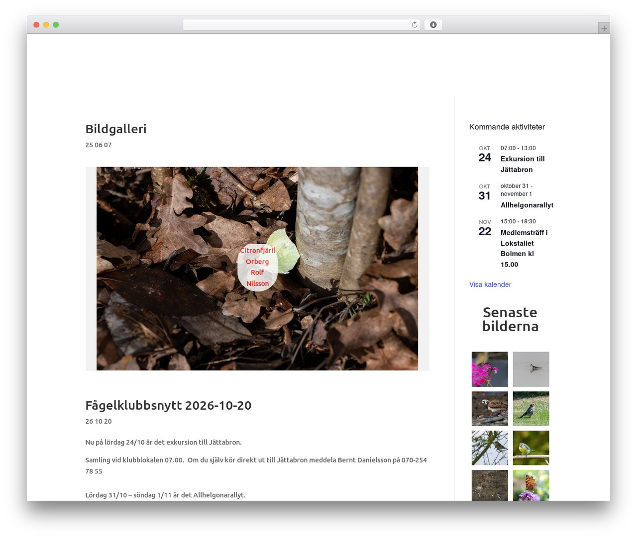 WordPress theme Divi - tetrix.se WordPress theme Divi - tetrix.se