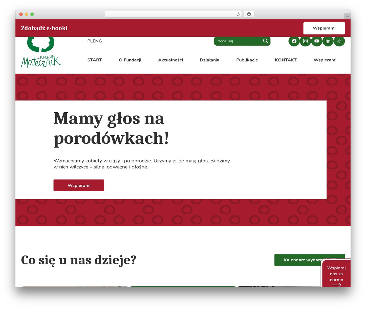 WordPress theme WordPress landing template - fundacjamatecznik.pl WordPress theme WordPress landing template - fundacjamatecznik.pl