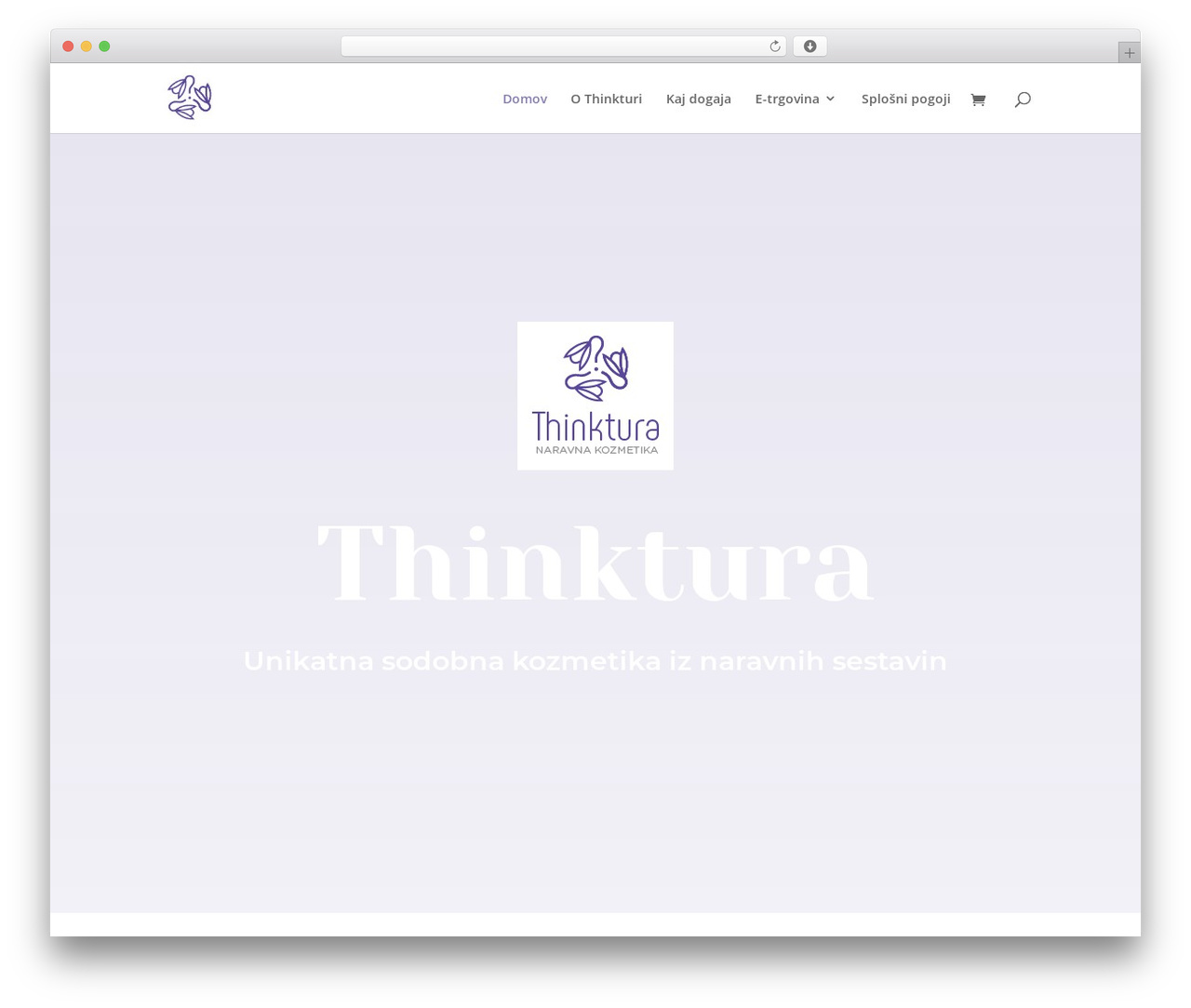 Divi theme WordPress - thinktura.com