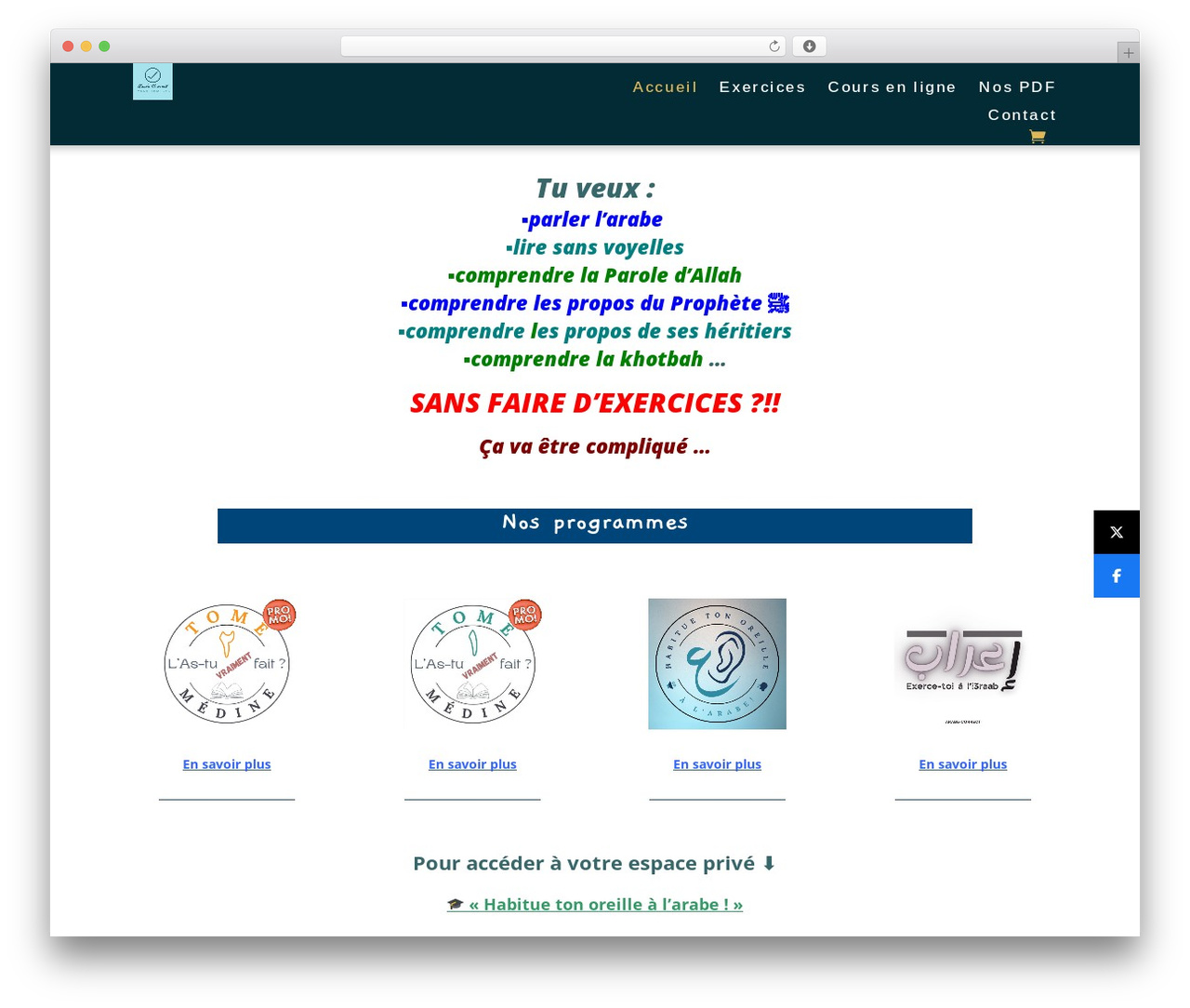 Divi WordPress theme - arabe-correct.com