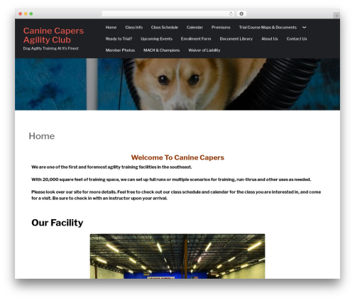 elemento WordPress theme design - caninecapersagility.com