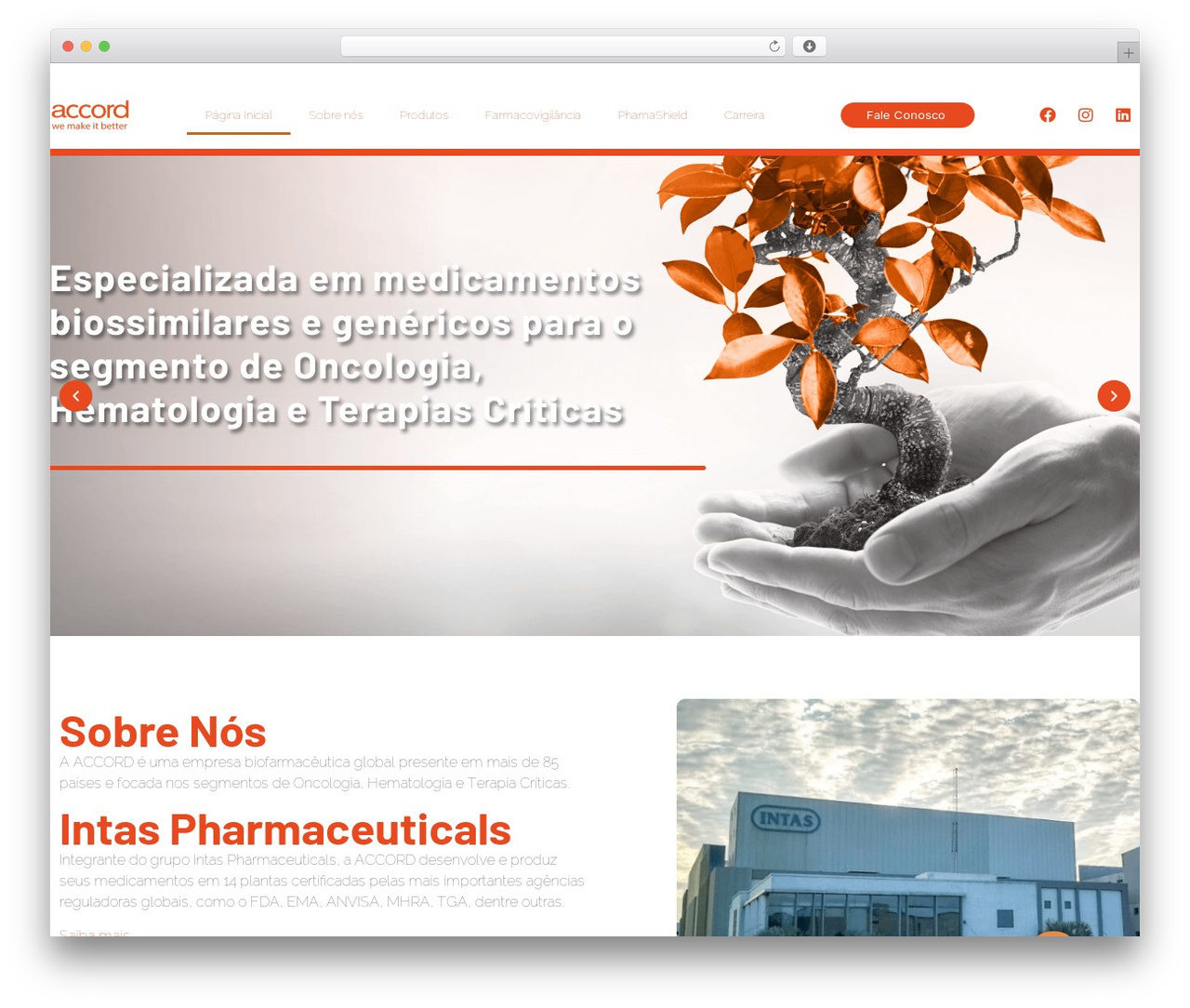 Theme WordPress Hello Elementor - accordfarma.com.br Theme WordPress Hello Elementor - accordfarma.com.br