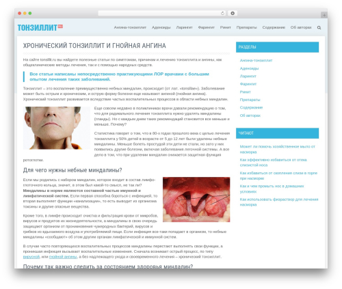 Custom blocks WordPress plugin - tonsillit.ru
