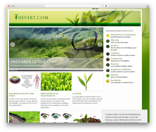 WordPress website theme Network-Theme - thevert.com