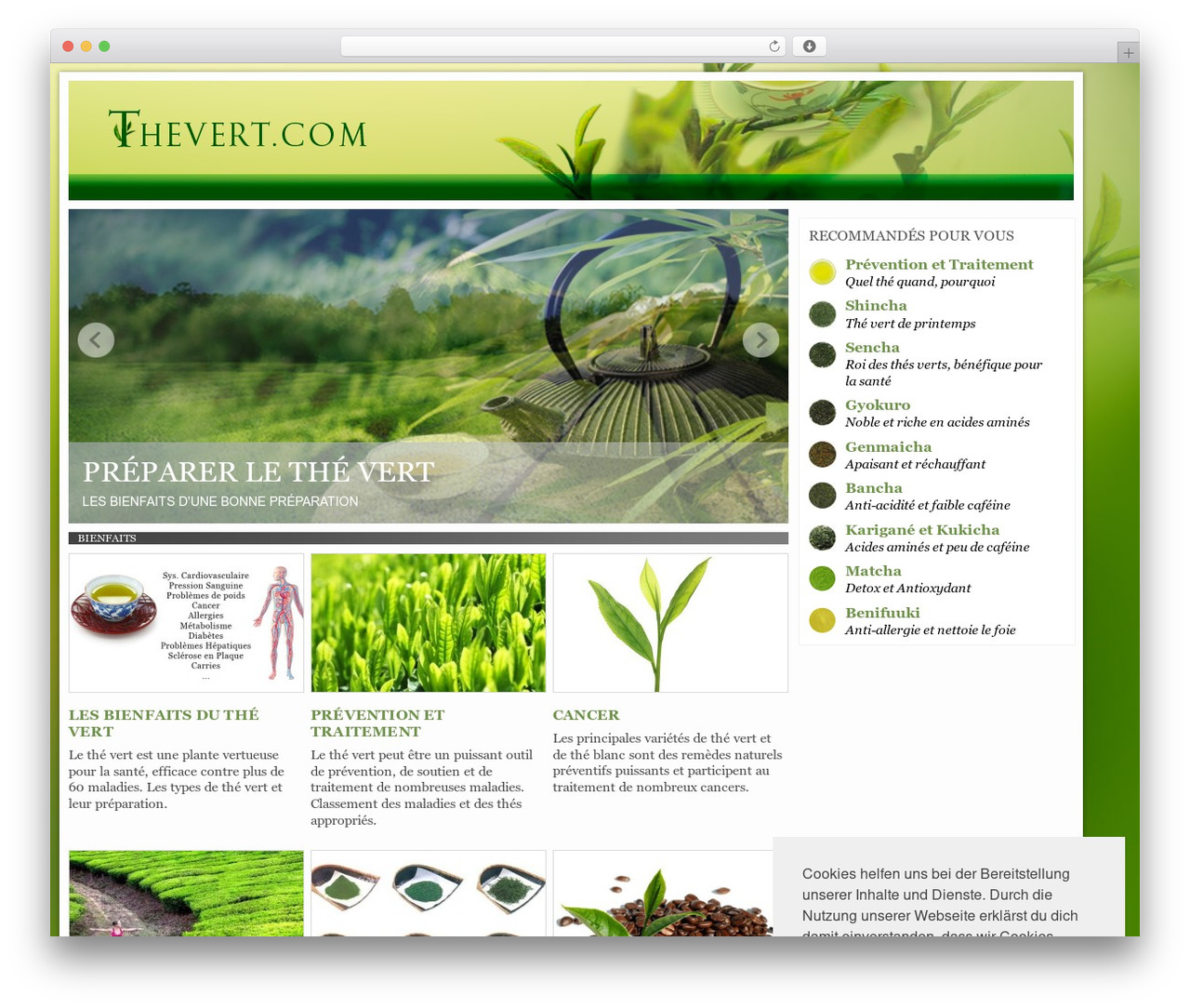 WordPress website theme Network-Theme - thevert.com WordPress website theme Network-Theme - thevert.com