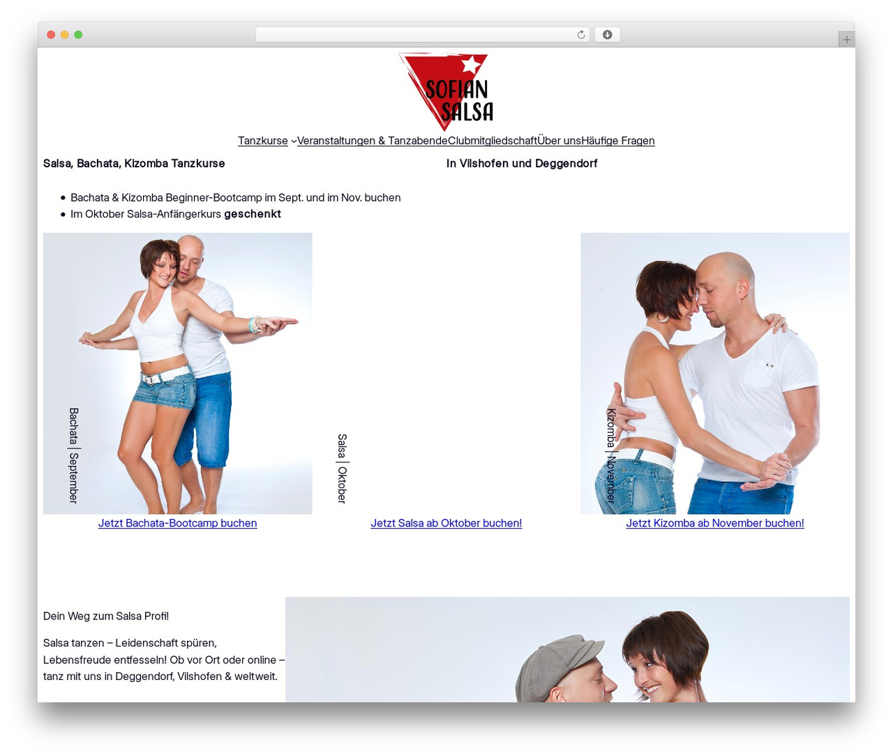 Extendable theme WordPress - sofian-salsa.de Extendable theme WordPress - sofian-salsa.de
