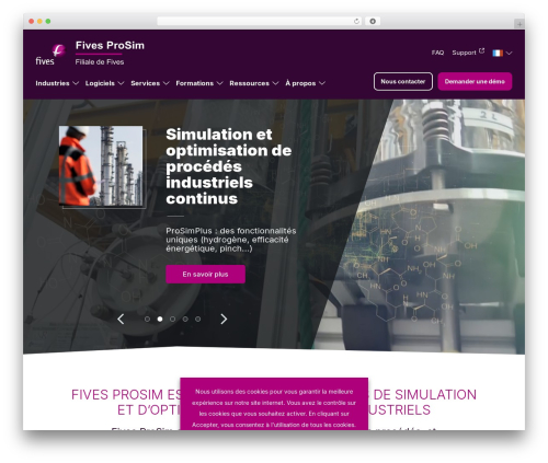 Tool tips for contact form 7 WordPress plugin - prosim.net