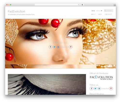 WordPress theme Tienda Basic - facevolution.co.uk