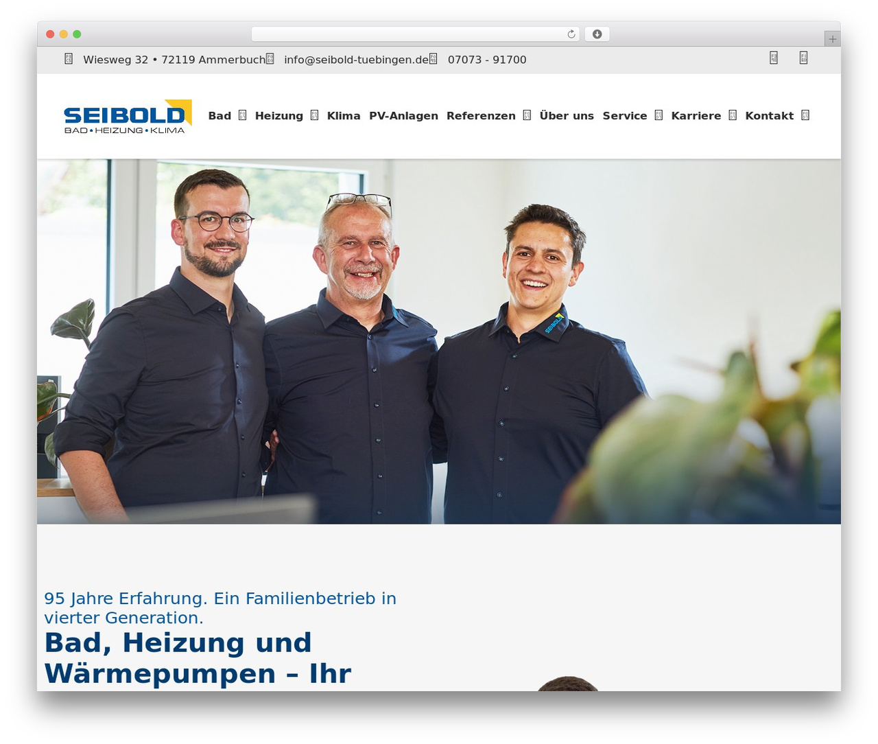 Hello Elementor theme WordPress - seibold-tuebingen.de