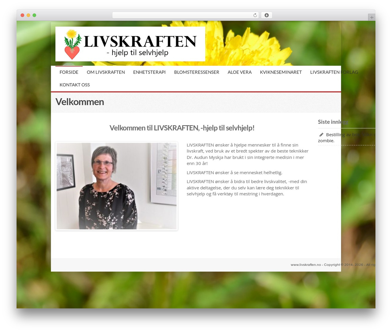 MX theme WordPress - livskraften.no MX theme WordPress - livskraften.no