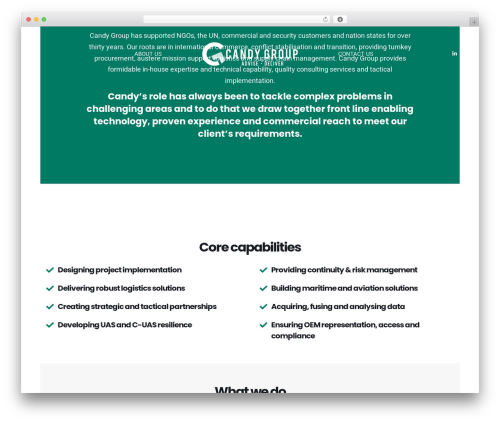 The7 WordPress theme - candygroup.com