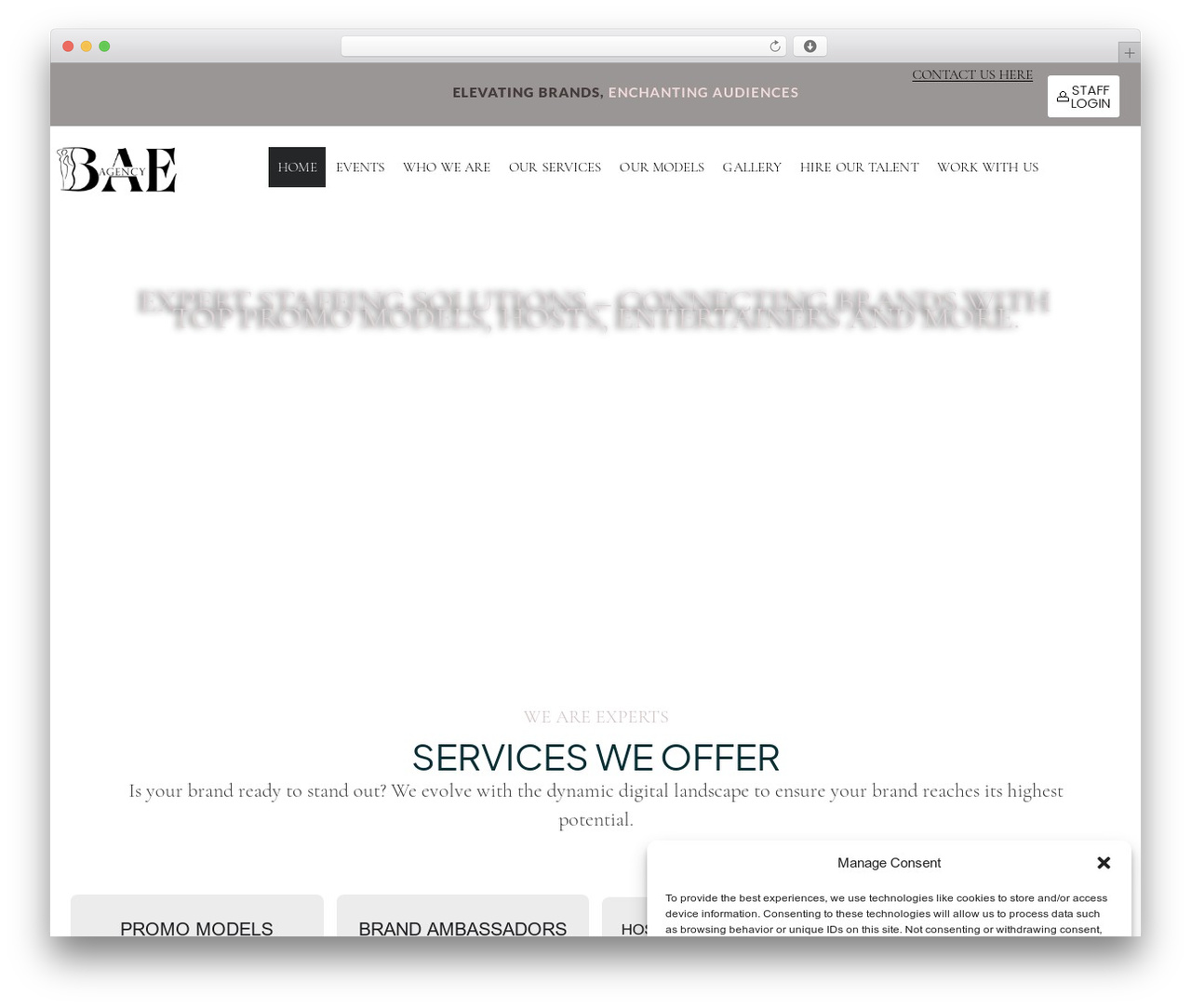 Theme WordPress Hello Elementor - baeagencyusa.com Theme WordPress Hello Elementor - baeagencyusa.com