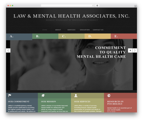 WordPress theme cherry - lawandmentalhealth.org