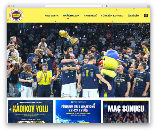 Confetti fall animation WordPress plugin - salihlifb.org