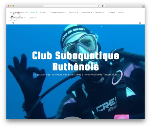 Divi WP theme - csr12.com