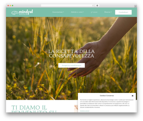 I01TimberTheme theme WordPress - mindfulsicilia.it