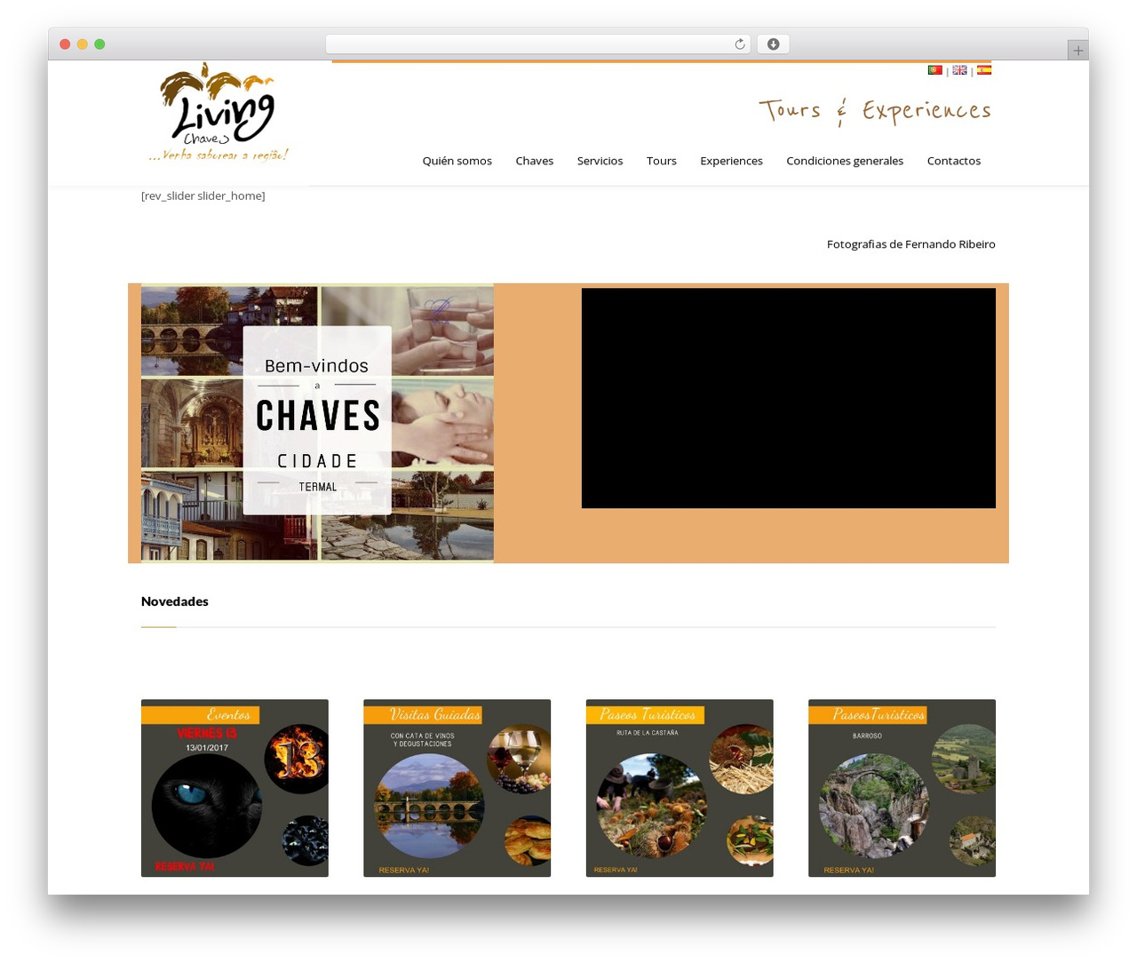 JELLYCODE top WordPress theme - livingchaves.pt/home