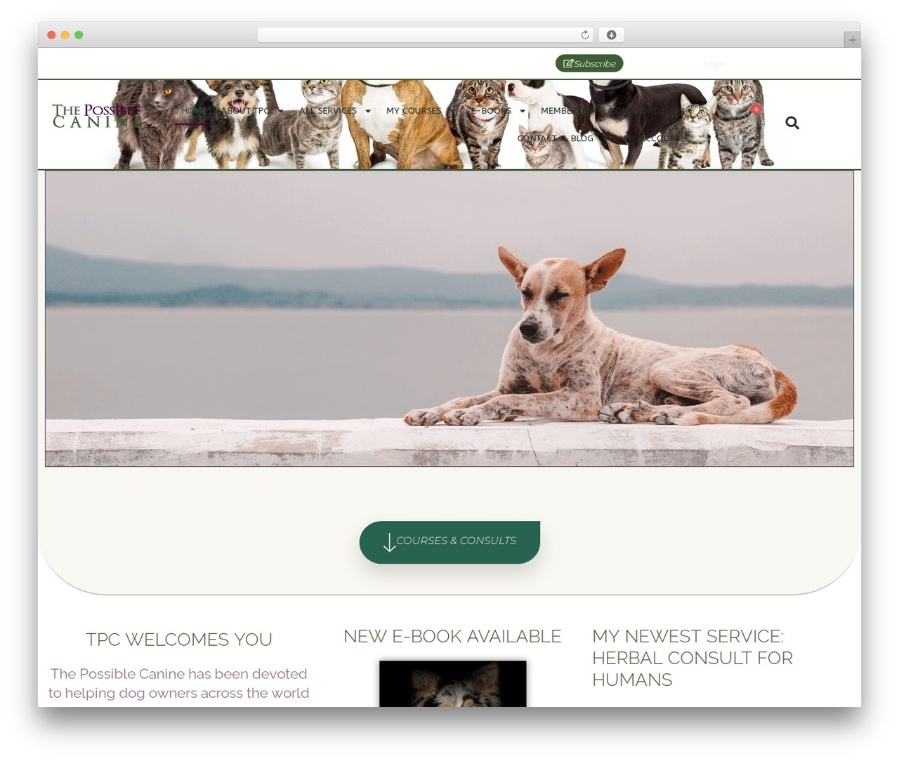 TPC-CHILD theme WordPress - thepossiblecanine.com TPC-CHILD theme WordPress - thepossiblecanine.com