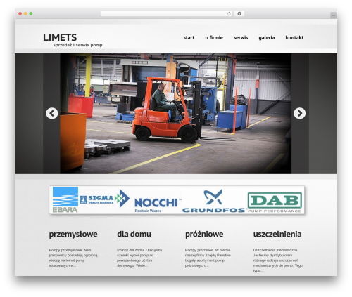WordPress Theme 1265 top WordPress theme - limets.pl
