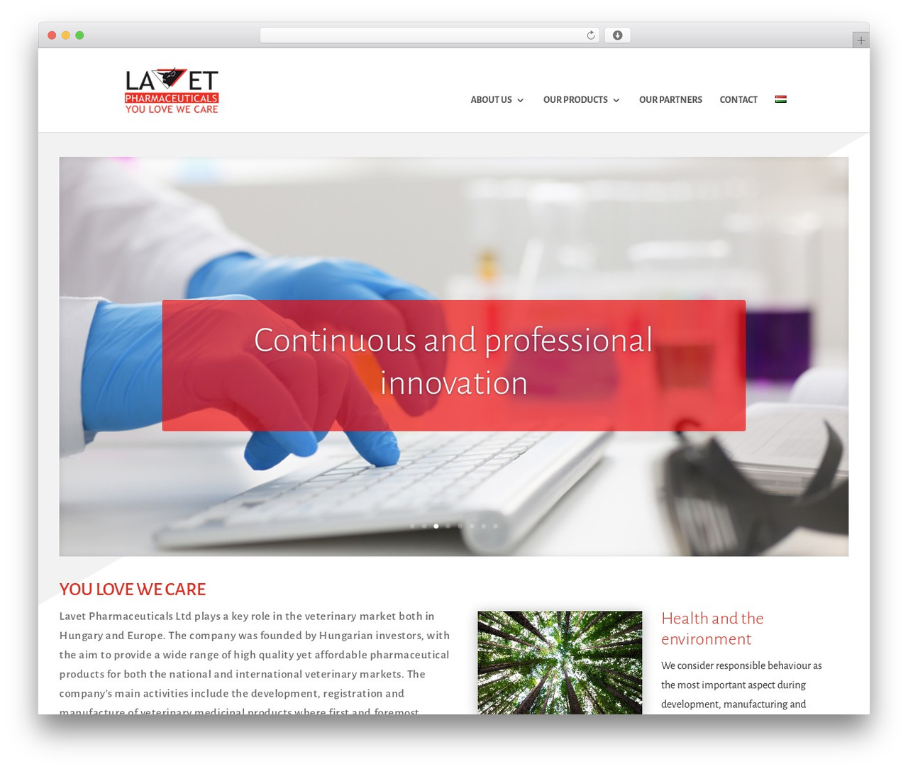 WordPress theme Divi - lavet.hu
