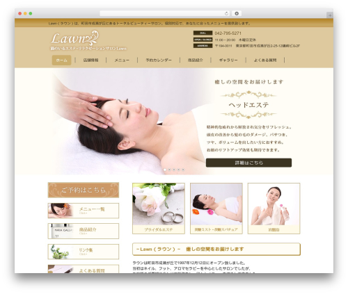 Mts simple booking WordPress plugin - lawn.jp