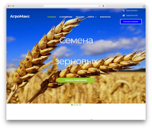 Theme WordPress Kava - xn----7sbbk1bkmpo.xn--p1ai