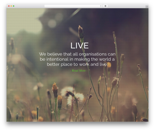 ADRIA - WordPress Minimal One Page Parallax WordPress theme - lavaworks.com.sg