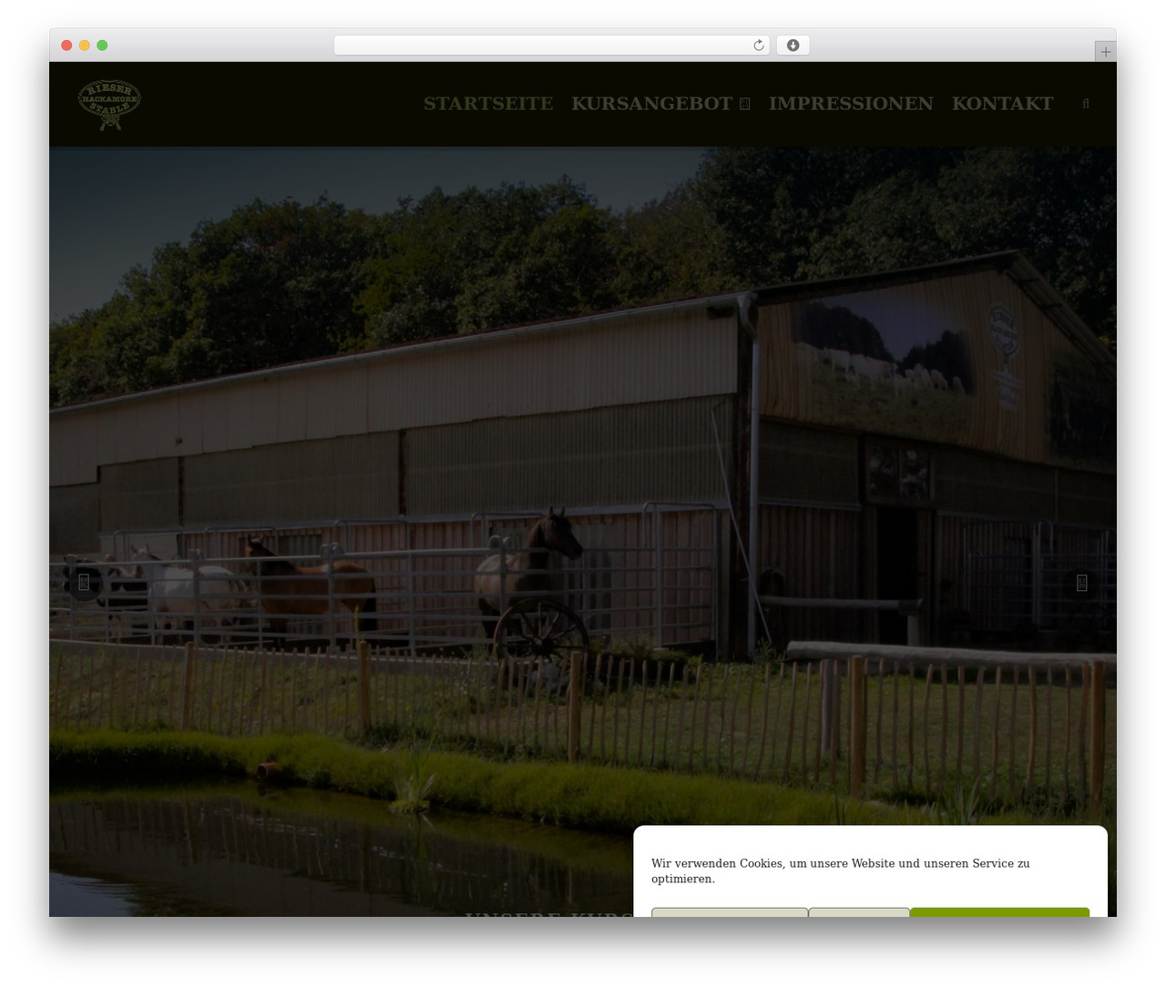 Create WordPress theme - hackamore-stable.de Create WordPress theme - hackamore-stable.de