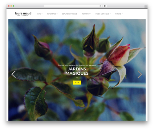 Fluxus WordPress theme - laure-maud-photographe.com