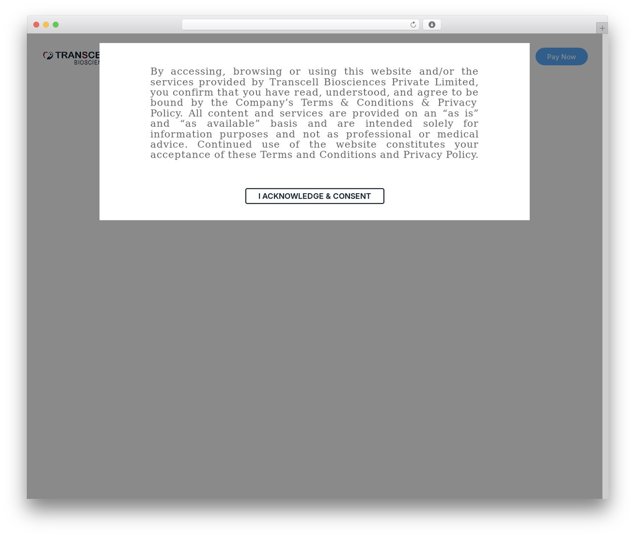 Hello Elementor top WordPress theme - transcell.in