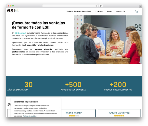 Elfsight faq cc WordPress plugin - esiconnect.es