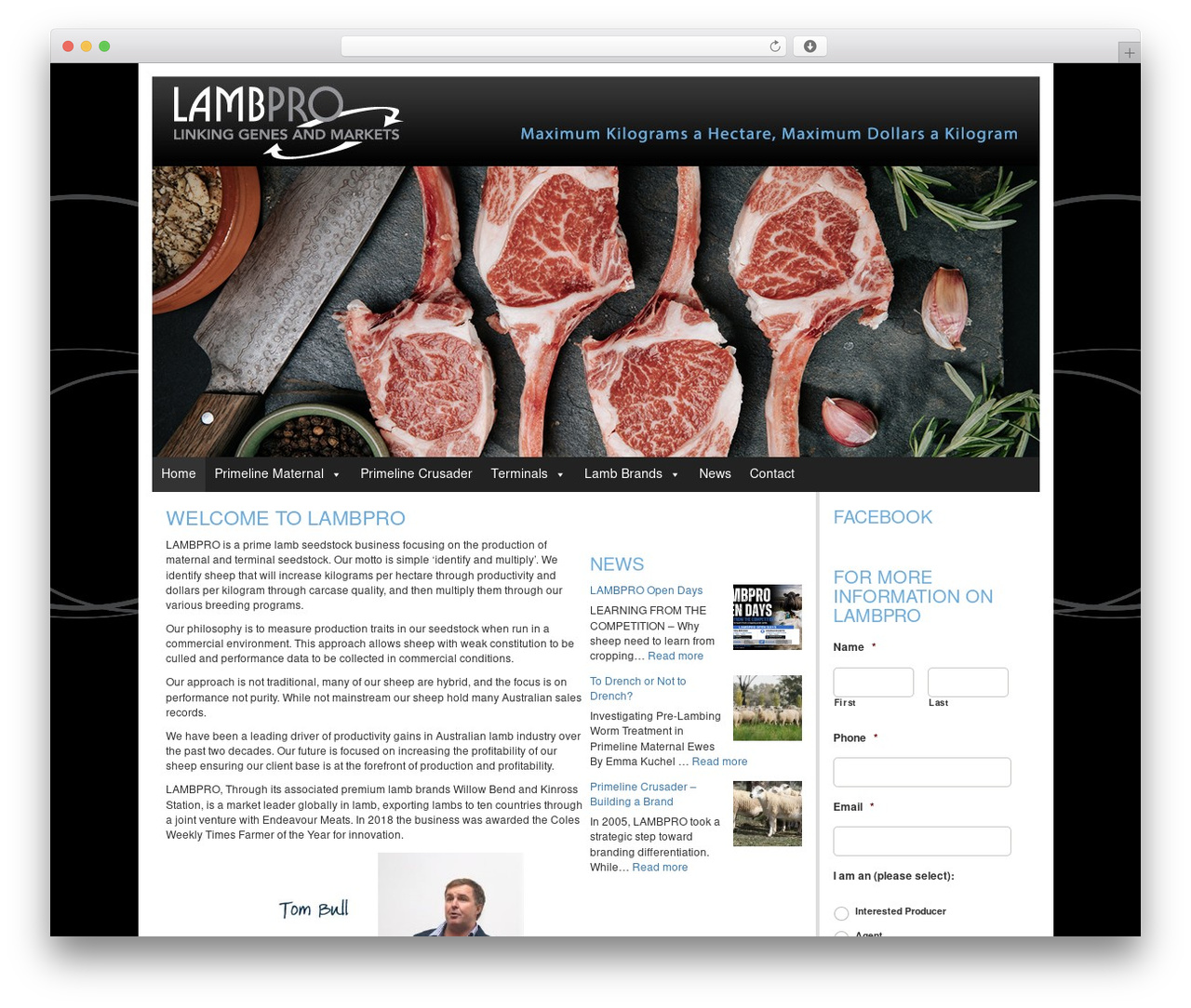 Lambpro WordPress theme - lambpro.com.au