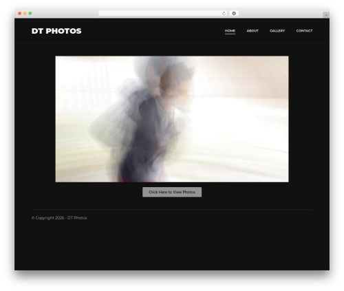Proframe WordPress theme - dtphotographer.com