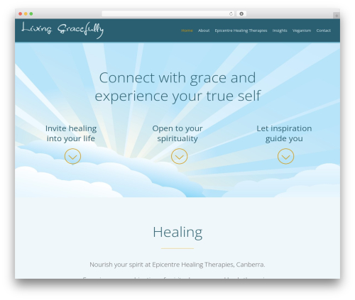 Showcase payment options icons WordPress plugin - livinggracefully.com.au