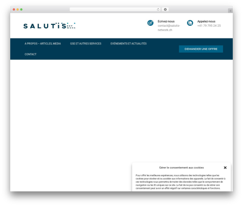 Designthemes portfolio addon WordPress plugin - salutis-network.ch