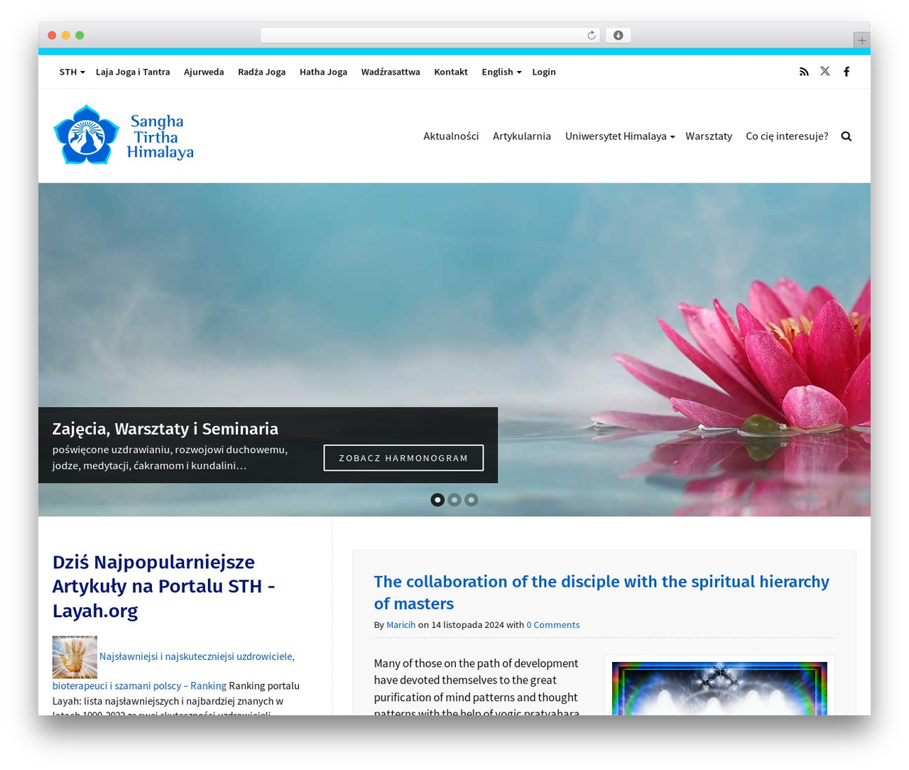 WP-Prosperity WordPress theme design - layah.org