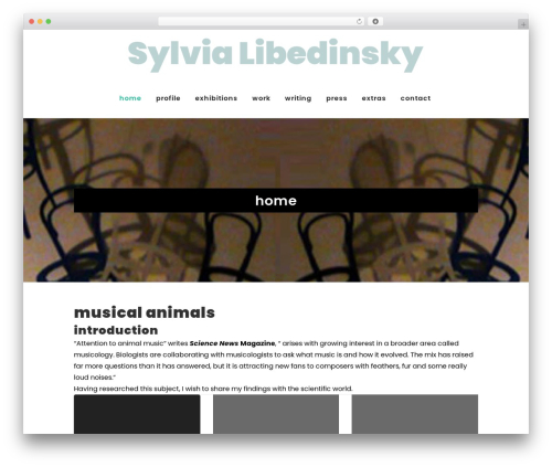 Bridge premium WordPress theme - libedinsky.com